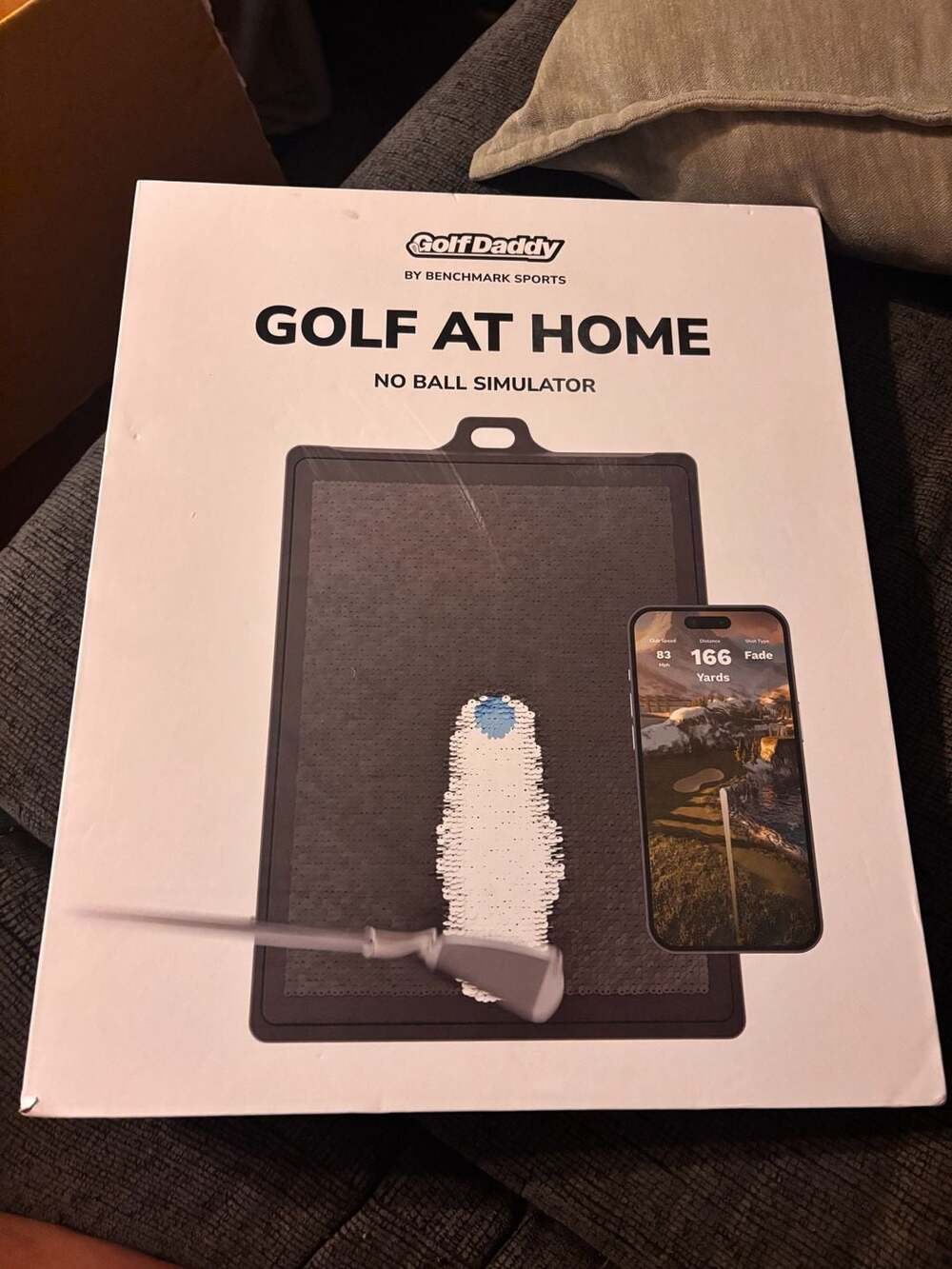 Golf Daddy Golf At Home No Ball Simulator & unopened bag of 100 tees